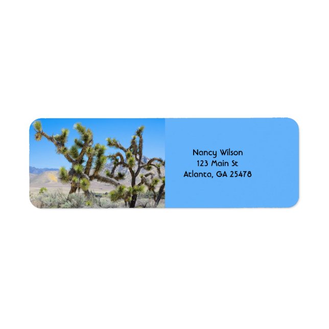 Joshua Tree en Californie (Devant)