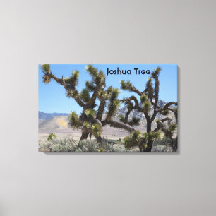 Joshua Tree in California Canvas Print