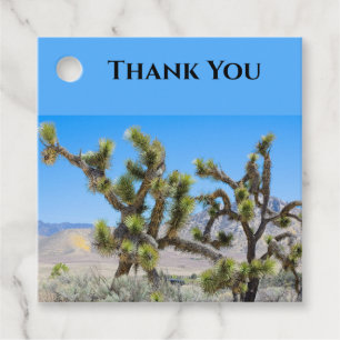 Joshua Tree in California           Favour Tags