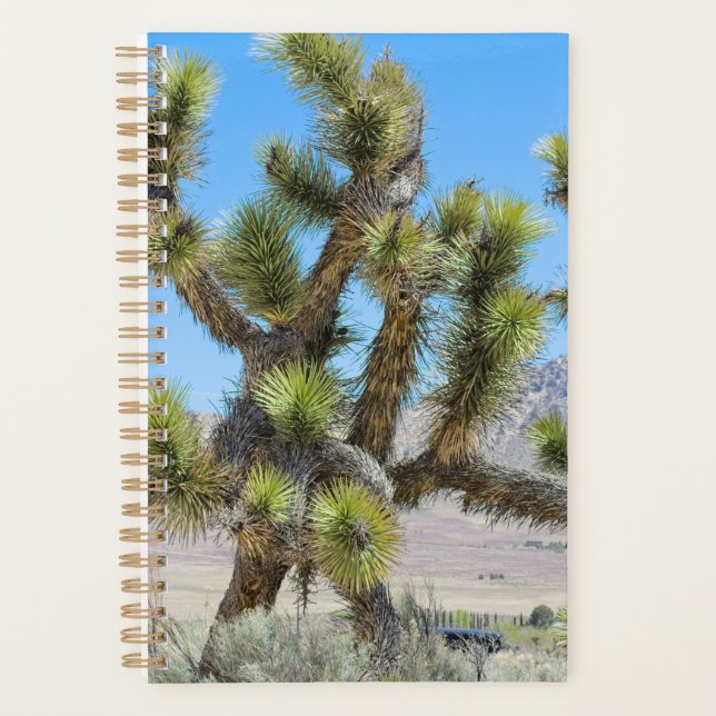 Joshua Tree in California    Planner (Front)