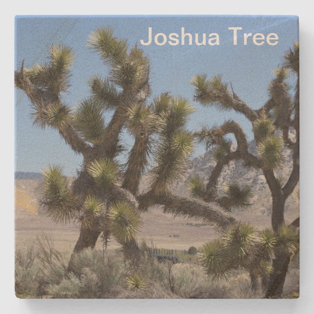 Joshua Tree in California Stone Coaster (Front)