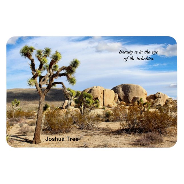 Joshua Tree in the Mojave Desert 4"x6" Magnet (Horizontal)