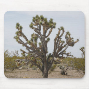 Joshua Tree Mouse Pad
