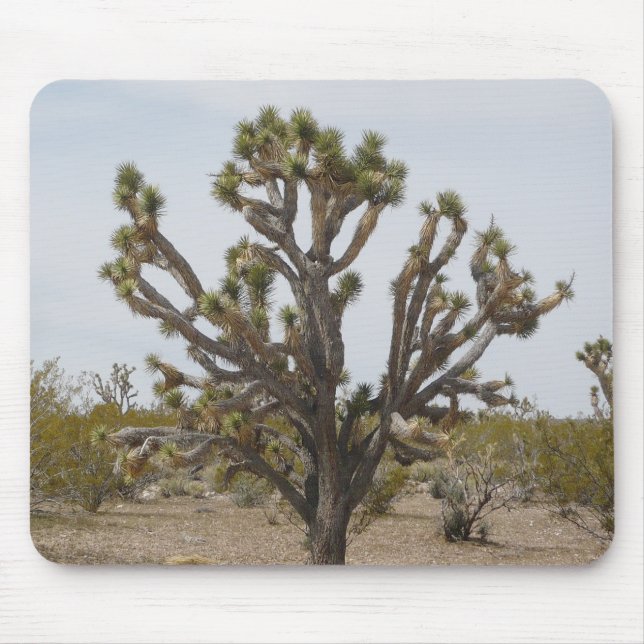 Joshua Tree Mouse Pad (Front)