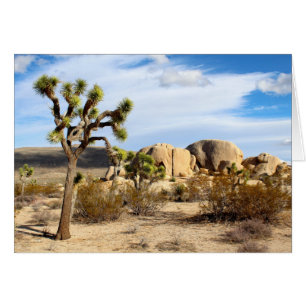 Joshua Tree National Park