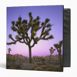 JOSHUA TREE NATIONAL PARK, CALIFORNIA. USA. BINDER