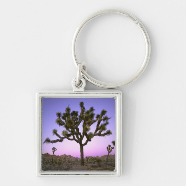 JOSHUA TREE NATIONAL PARK, CALIFORNIA. USA. KEYCHAIN (Front)