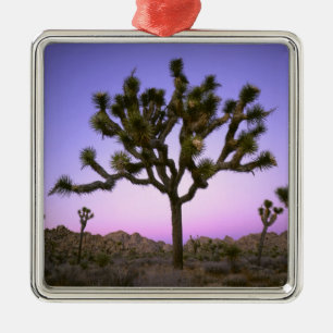 JOSHUA TREE NATIONAL PARK, CALIFORNIA. USA. METAL ORNAMENT