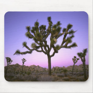 JOSHUA TREE NATIONAL PARK, CALIFORNIA. USA. MOUSE PAD