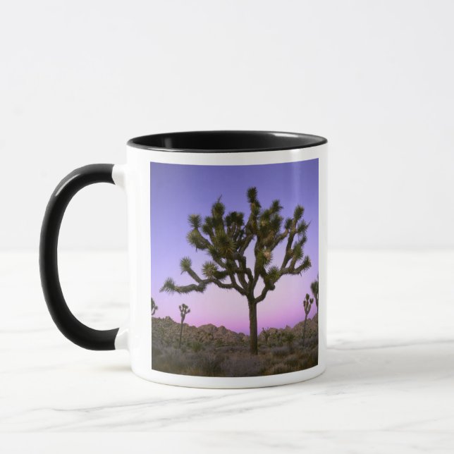 JOSHUA TREE NATIONAL PARK, CALIFORNIA. USA. MUG (Left)