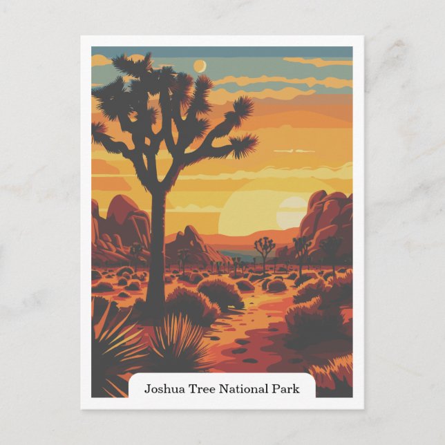 Joshua Tree National Park, California USA Postcard (Front)