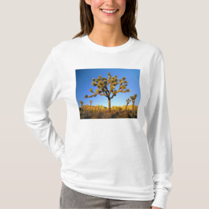 Joshua Tree National Park, California. USA. T-Shirt