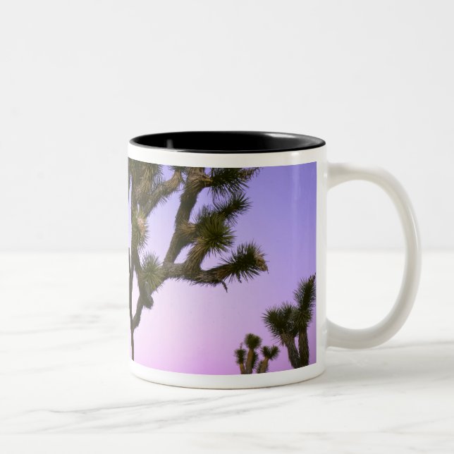 JOSHUA TREE NATIONAL PARK, CALIFORNIA. USA. Two-Tone COFFEE MUG (Right)