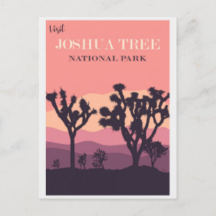 Joshua Tree National Park California Vintage Pink Postcard