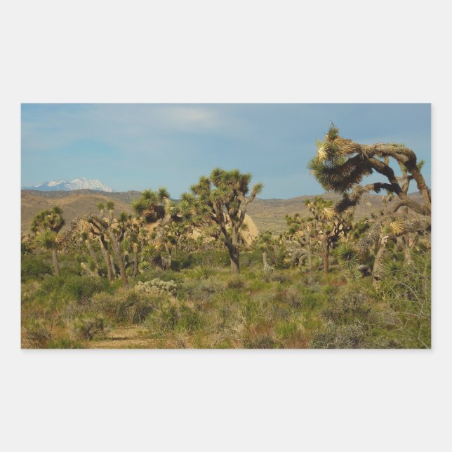 Joshua Tree National Park Desert Landscape Sticker (Front)