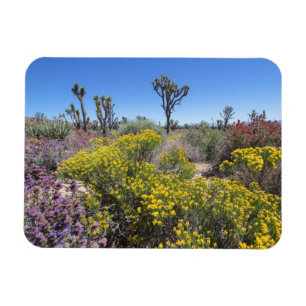 Joshua Tree National Park In Bloom Magnet