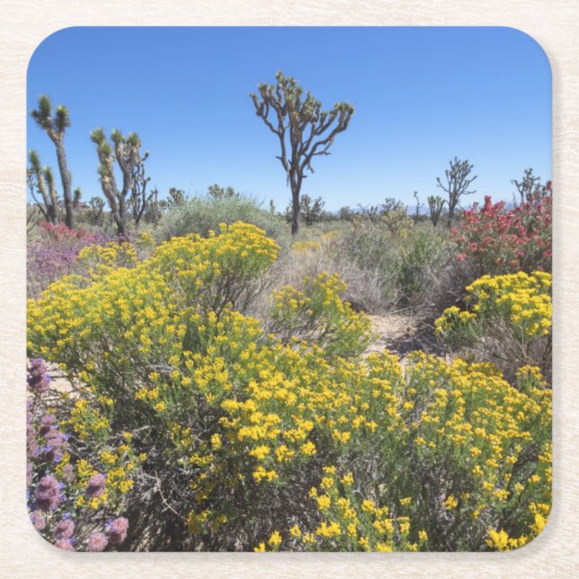 Joshua Tree National Park In Bloom Square Paper Coaster (Front)