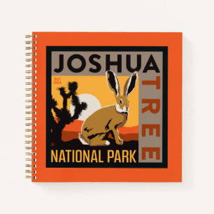 Joshua Tree National Park   Jackrabbit Notebook
