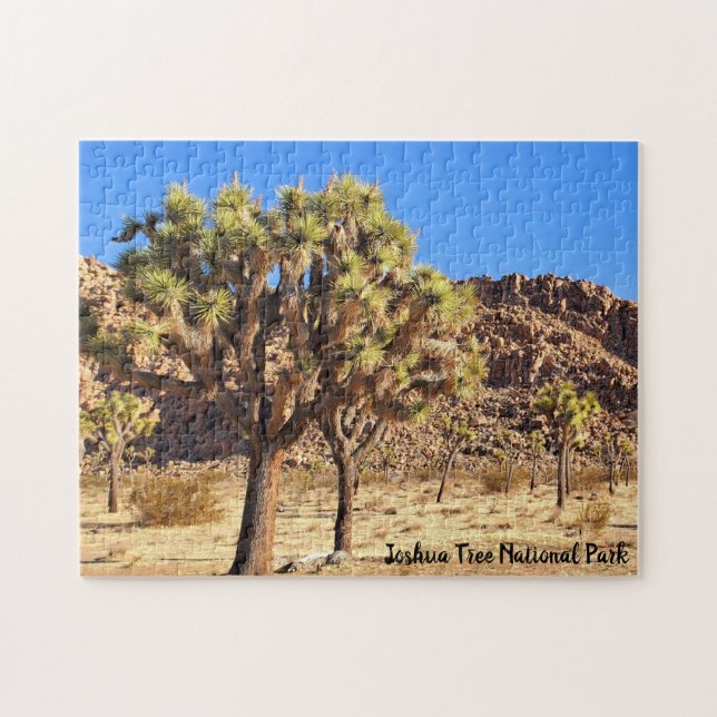Joshua Tree National Park Jigsaw Puzzle (Horizontal)