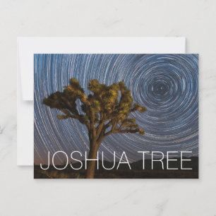 Joshua Tree National Park Night Sky Postcard