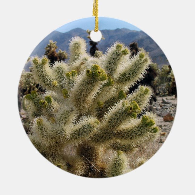 Joshua Tree National Park ornament (Back)