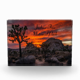 Joshua Tree National Park Red Sunset Photo Block
