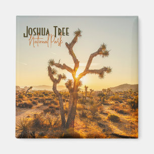 Joshua Tree National Park Souvenir Gift Magnet