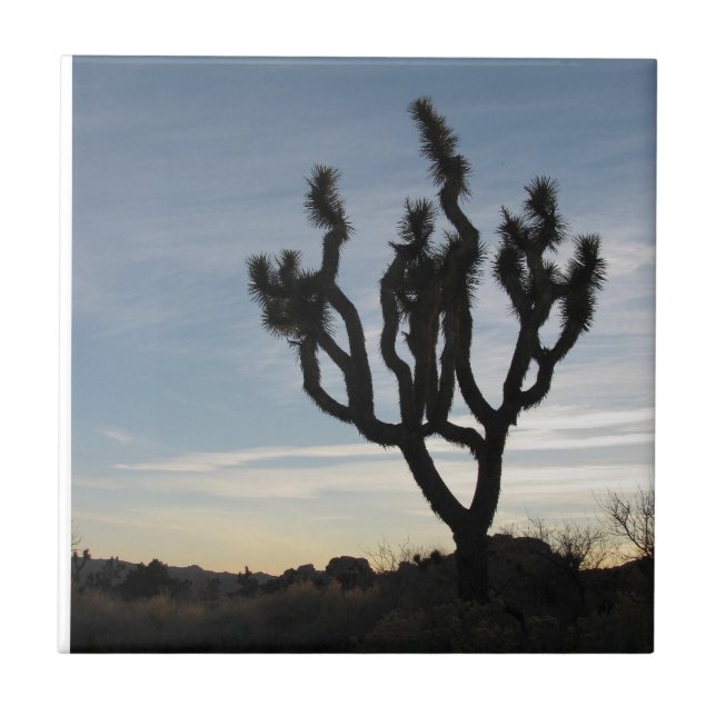 Joshua Tree National Park Tile (Front)