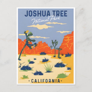 Joshua Tree National Park Tule Springs Vintage Postcard