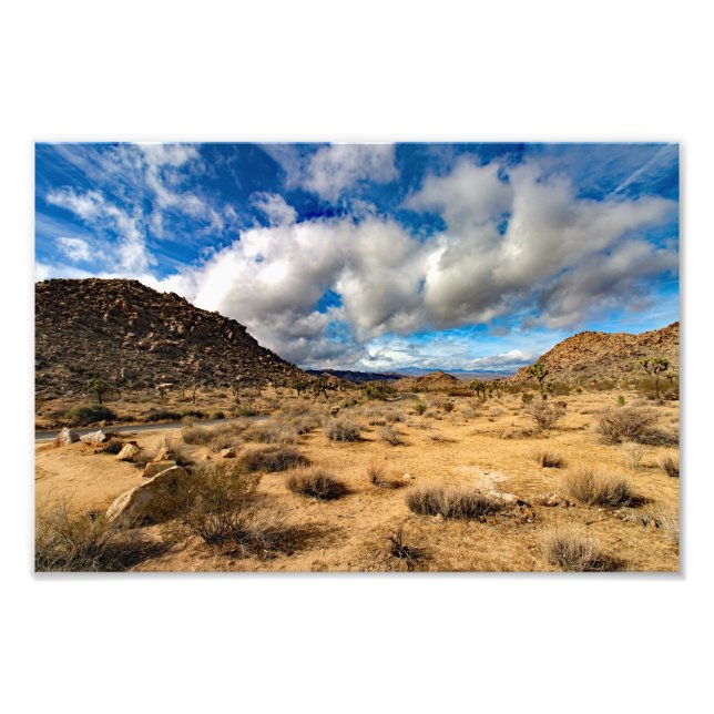 Joshua Tree Photo Print (Front)