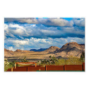 Joshua Tree Photo Print