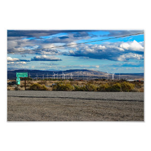 Joshua Tree Photo Print