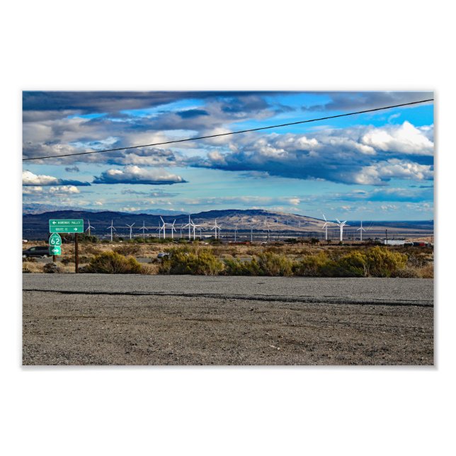 Joshua Tree Photo Print (Front)