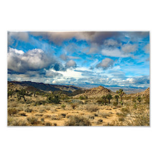 Joshua Tree Photo Print