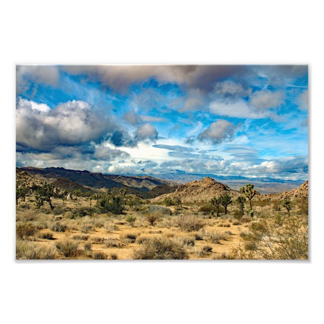 Joshua Tree Photo Print (Front)
