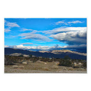 Joshua Tree Photo Print