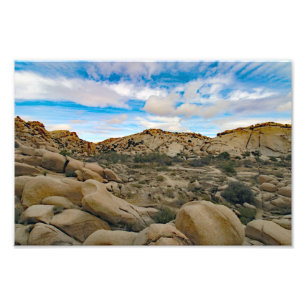 Joshua Tree Photo Print