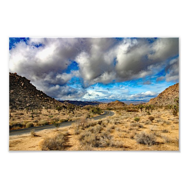 Joshua Tree Photo Print (Front)