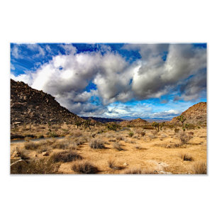 Joshua Tree Photo Print