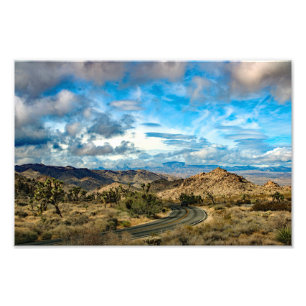 Joshua Tree Photo Print