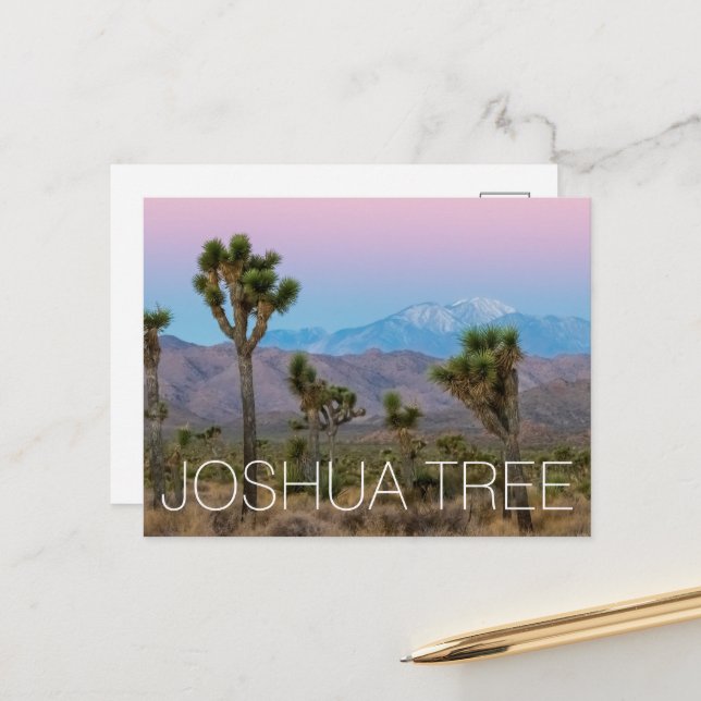 Joshua Tree Postcard (Front/Back In Situ)
