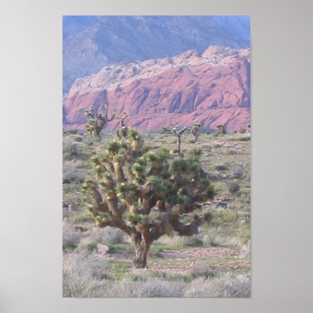 Joshua Tree Poster (Front)
