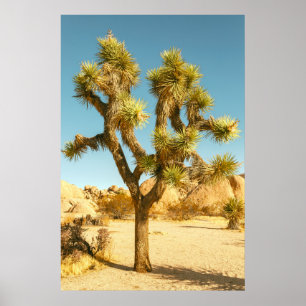Joshua Tree Poster
