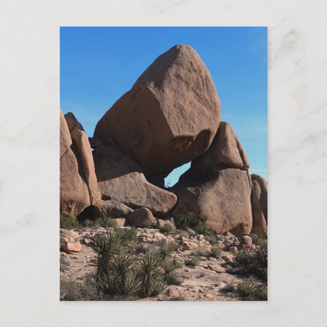 Joshua Tree Rocks Boulders Postcard (Front)
