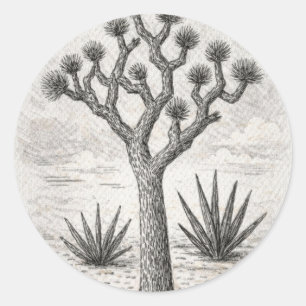 joshua tree sketch   desert sketch art classic round sticker
