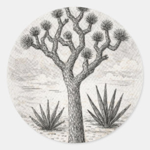 joshua tree sketch desert sketch art classic round sticker