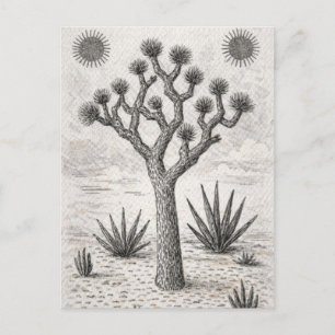 joshua tree sketch   desert sketch art holiday postcard
