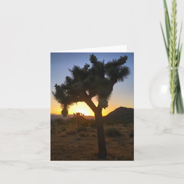 joshua tree sunset #3 notecard (Front)