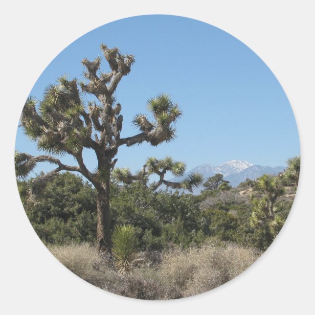 Joshua Tree View Classic Round Sticker (Front)