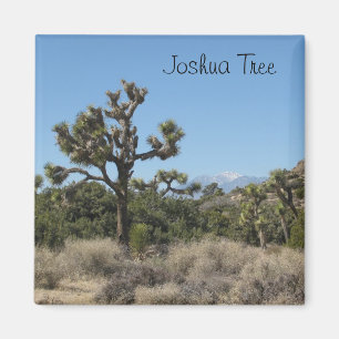 Joshua Tree View Magnet